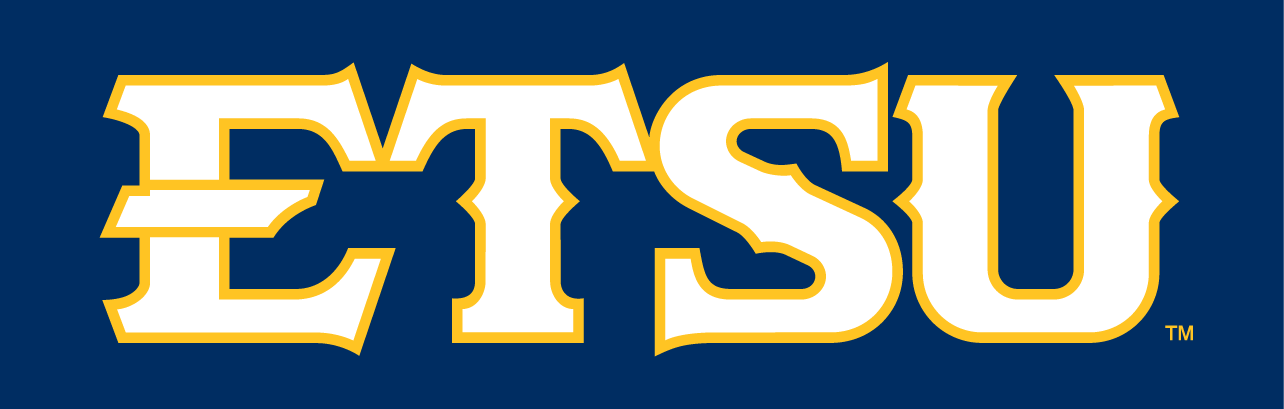 ETSU Buccaneers 2014-Pres Wordmark Logo v3 diy DTF decal sticker